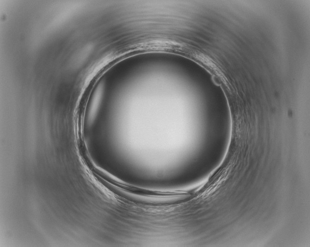 X0000059841083200510211141