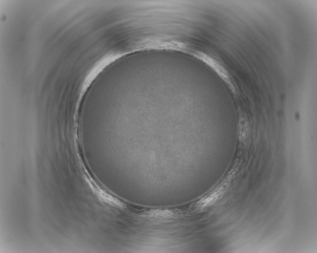 X0000059841094200510211141