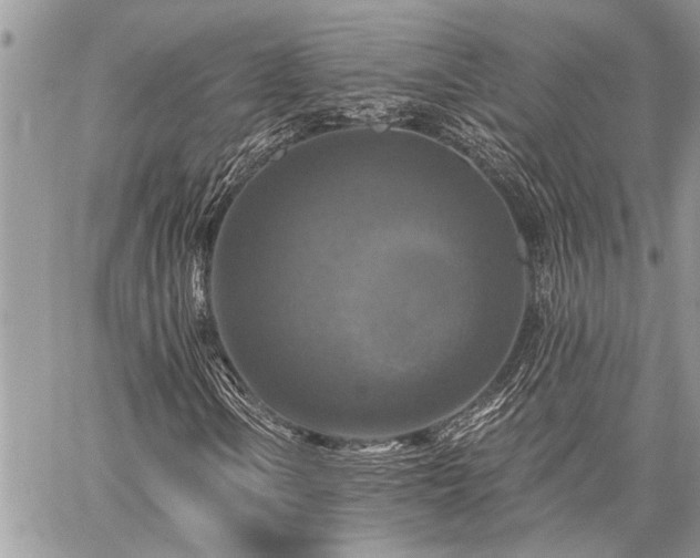 X0000059841106200510211140