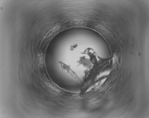 X0000059841107200510211140