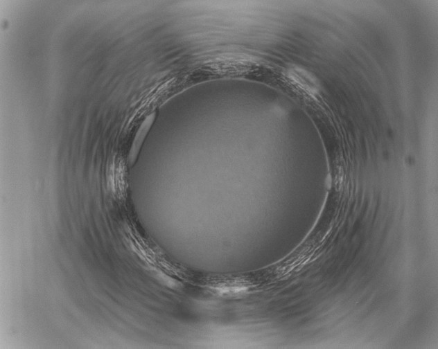 X0000059841108200510211140