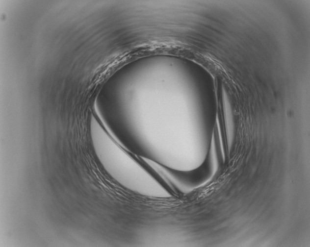 X0000059841110200510211140