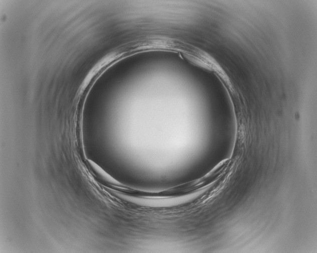 X0000059841146200510211141