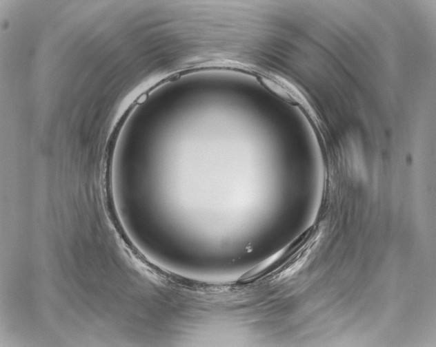 X0000059841149200510211141