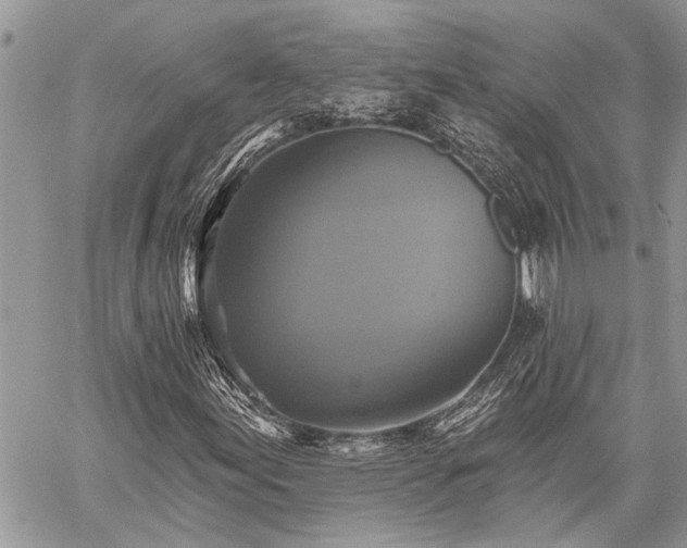 X0000059841155200510211140