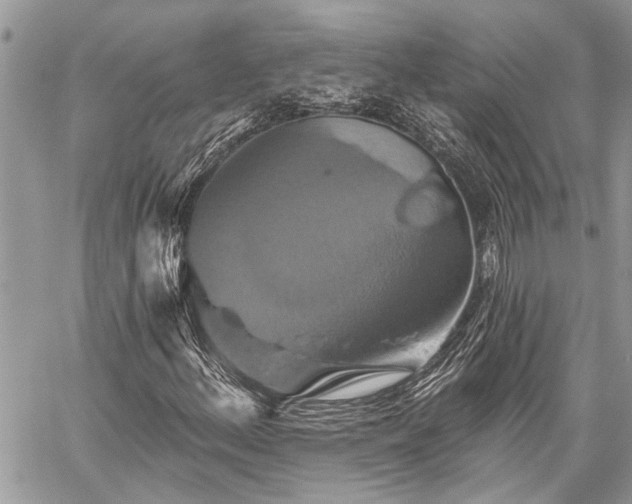 X0000059841156200510211140