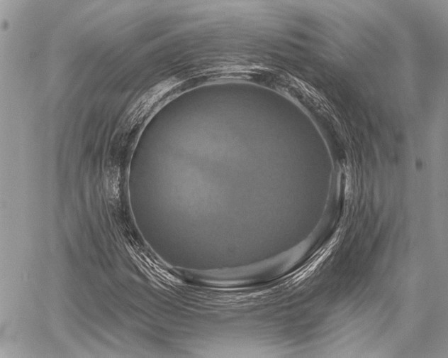 X0000059841161200510211140