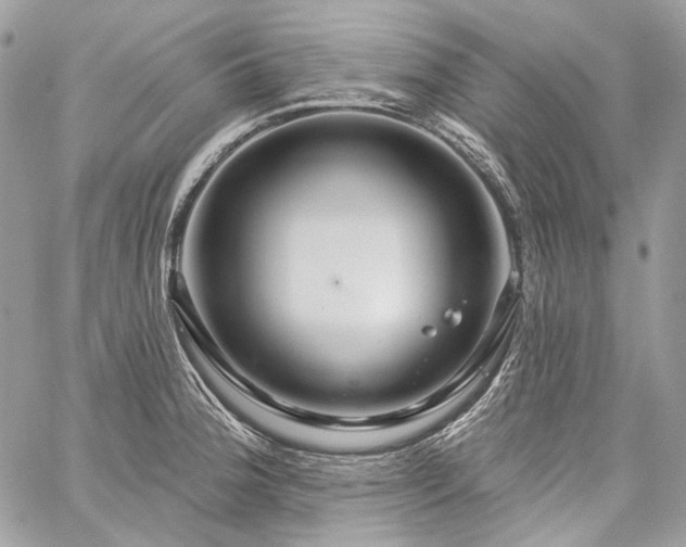 X0000059841188200510211140