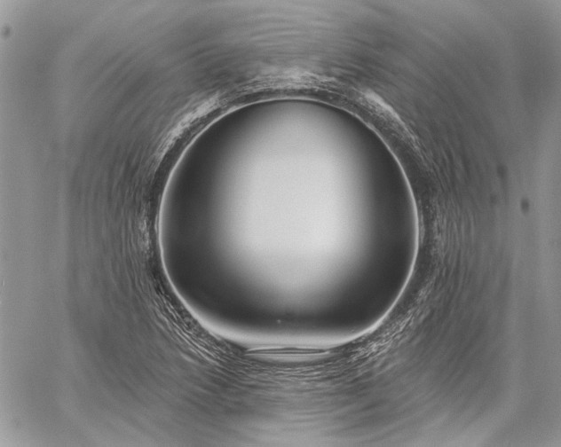 X0000059841218200510211139