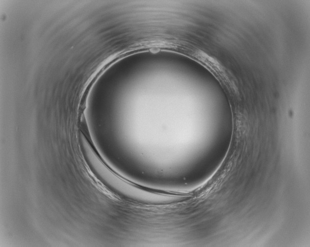 X0000059841236200510211139