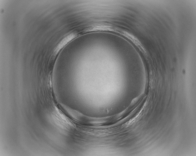 X0000059841241200510211139