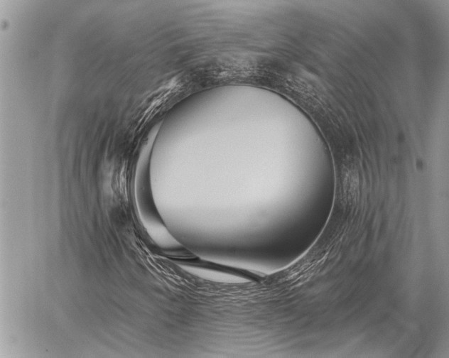 X0000059841250200510211139