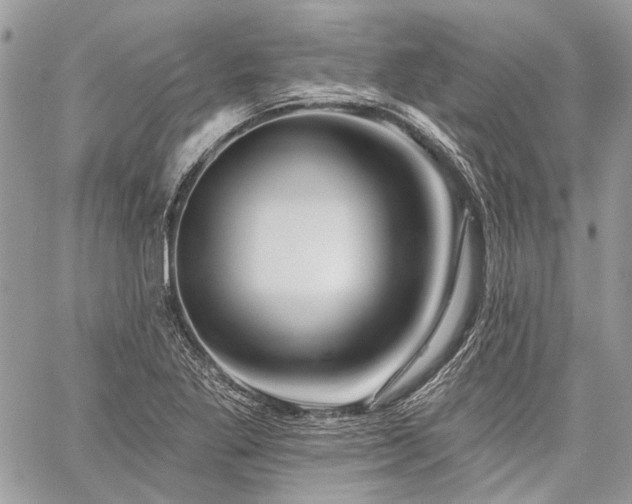 X0000059841269200510211138