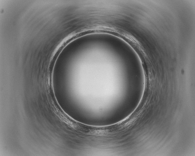 X0000059841280200510211138