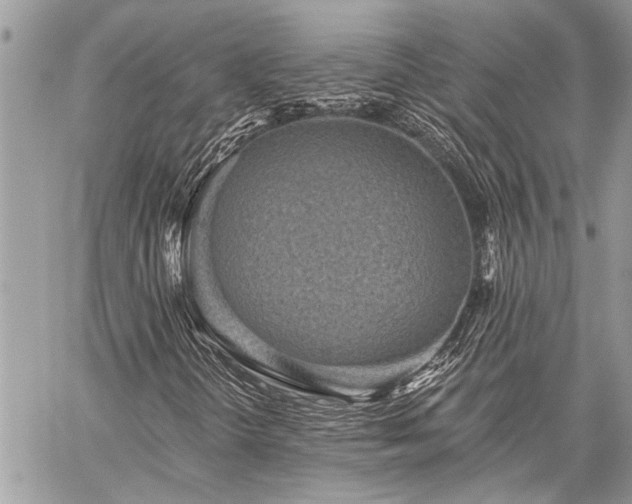 X0000059841298200510211137