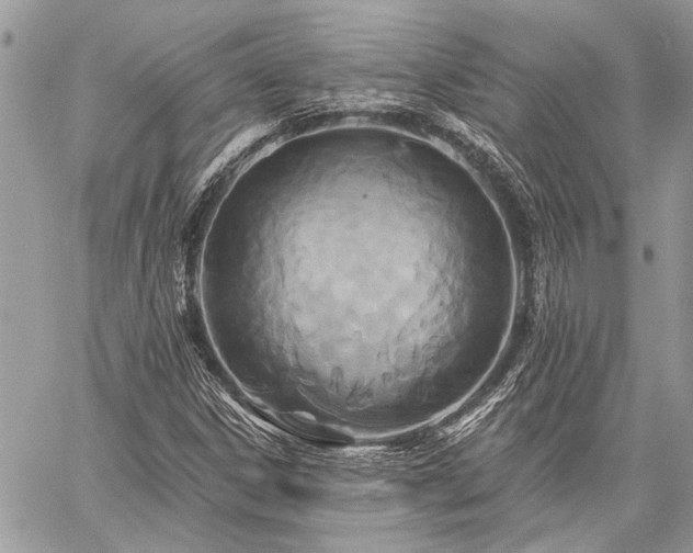 X0000059841306200510211137