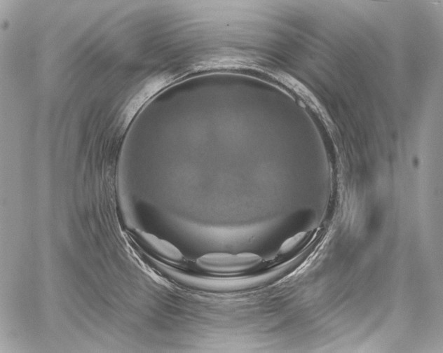 X0000059841337200510211138