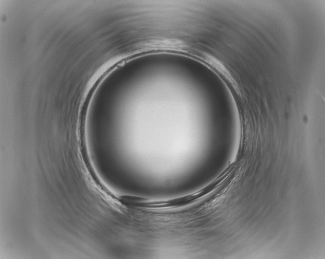 X0000059841339200510211138