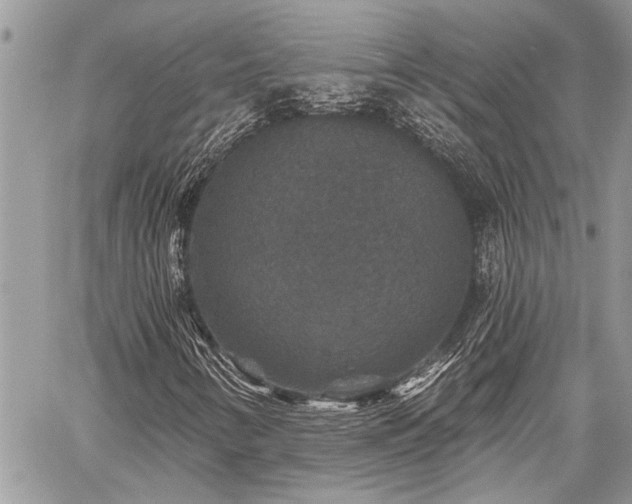X0000059841346200510211137