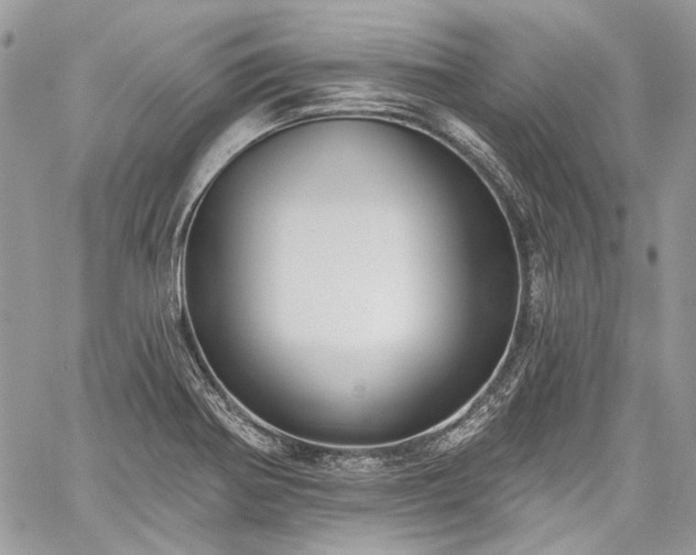 X0000059841370200510211137