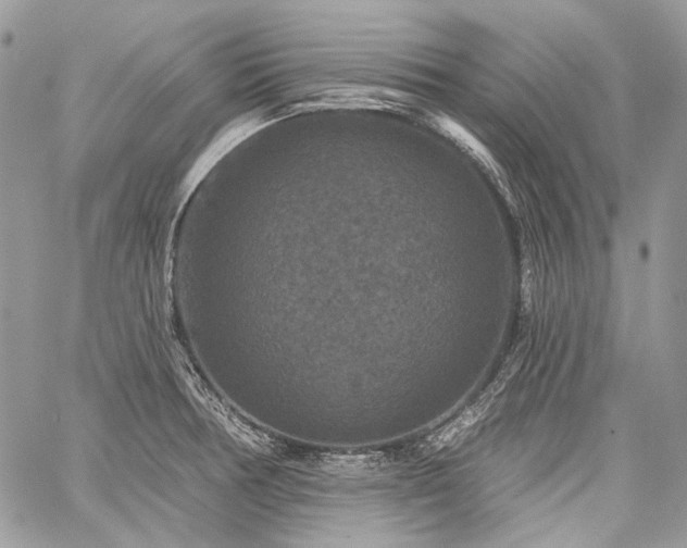 X0000059841378200510211137