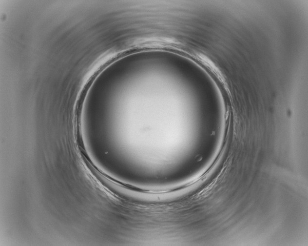 X0000059841384200510211137