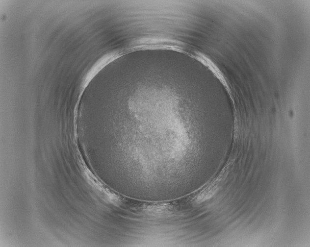 X0000059841386200510211137