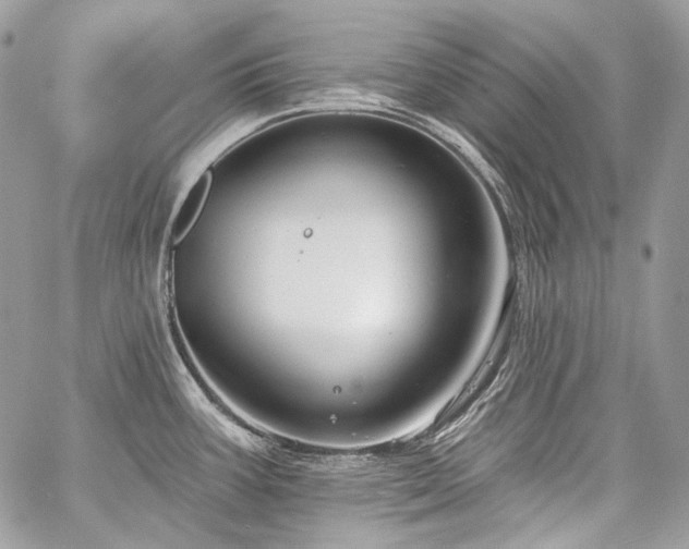 X0000059841387200510211136