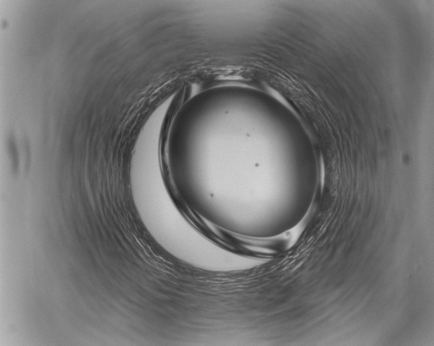 X0000059841394200510211136