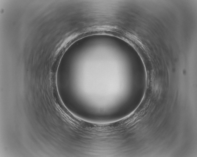 X0000059841404200510211136
