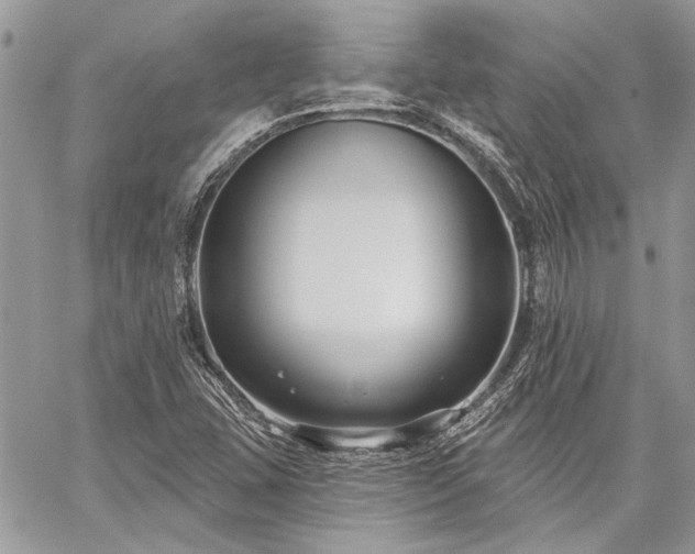X0000059841407200510211136
