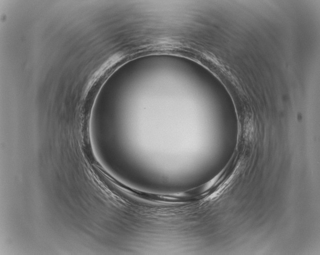 X0000059841410200510211136
