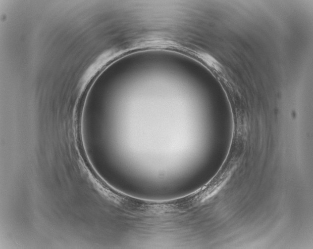 X0000059841430200510211136