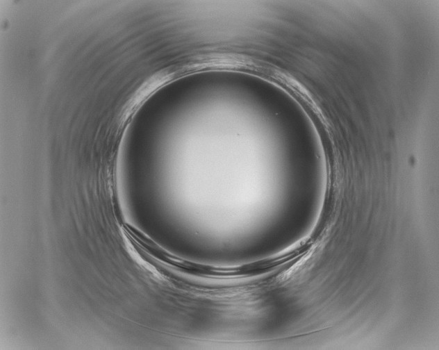 X0000059841433200510211136