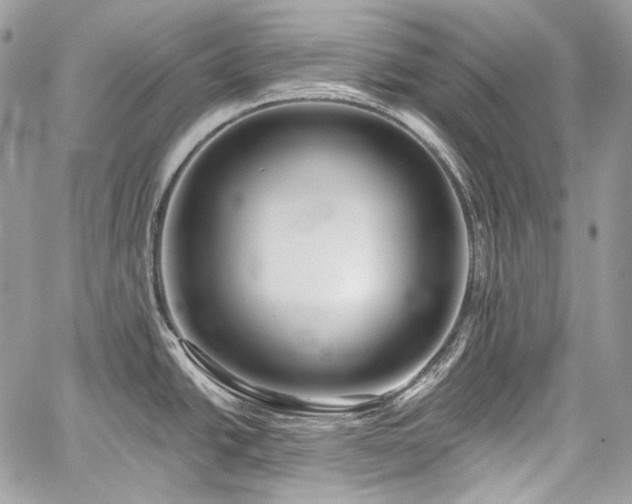 X0000059841438200510211136