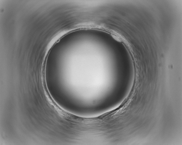 X0000059841440200510211136