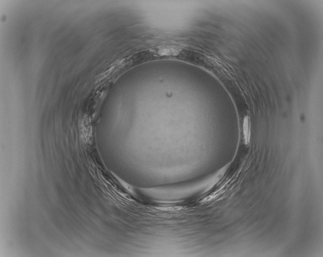 X0000059841443200510211136