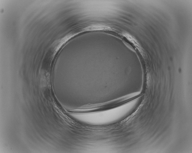 X0000059841465200510211135