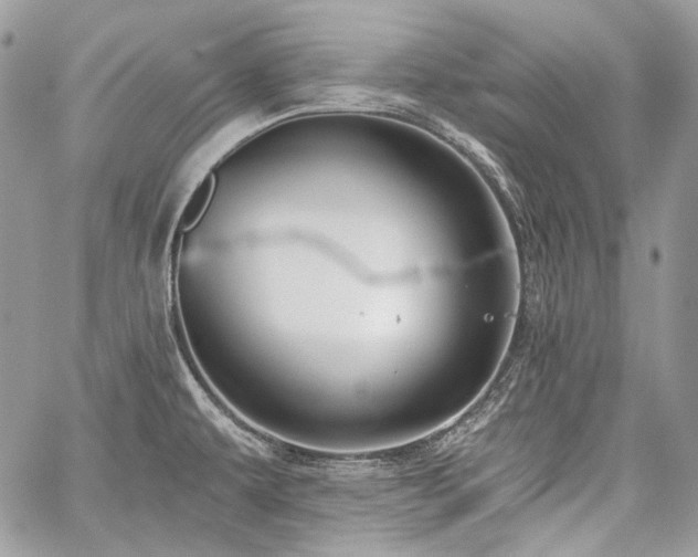 X0000059841479200510211135