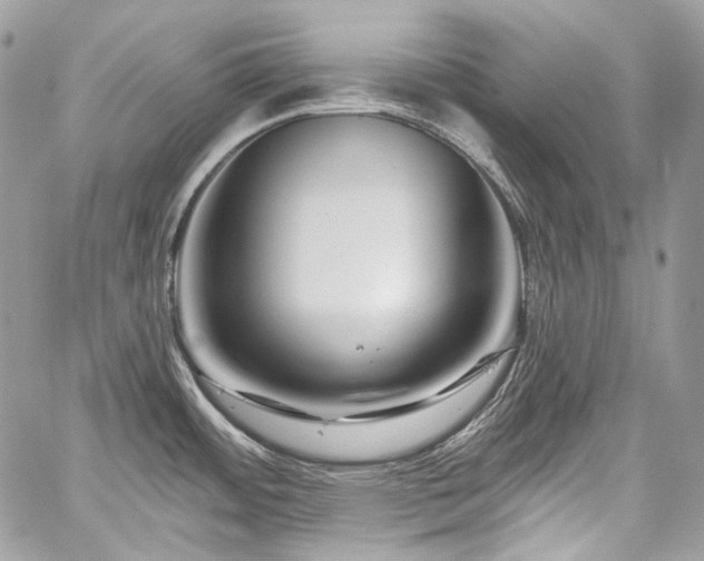 X0000059841484200510211135