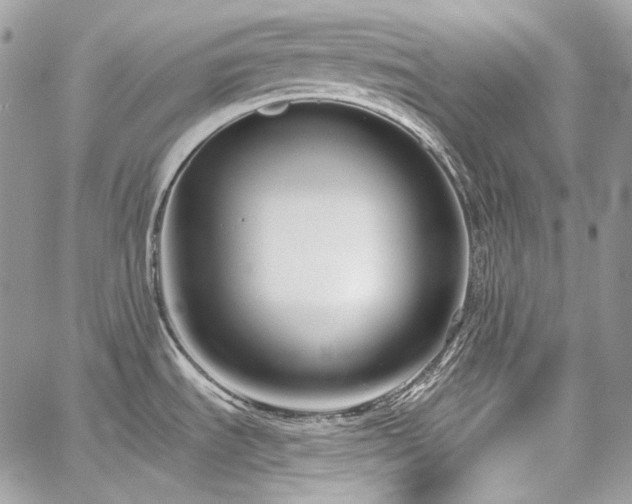 X0000059841535200510211135