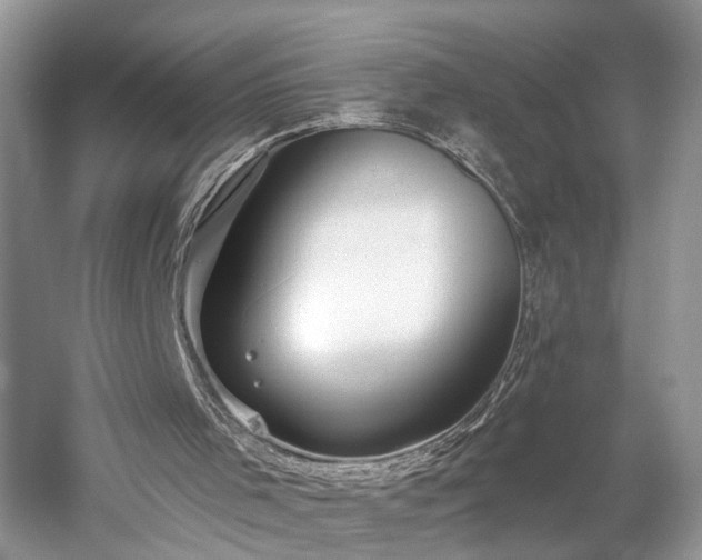 X0000059840001200510241450