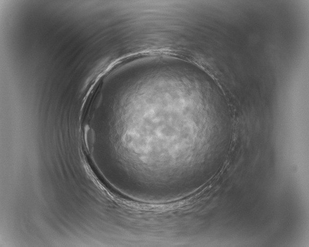 X0000059840002200510241450