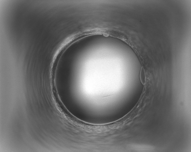 X0000059840006200510241449