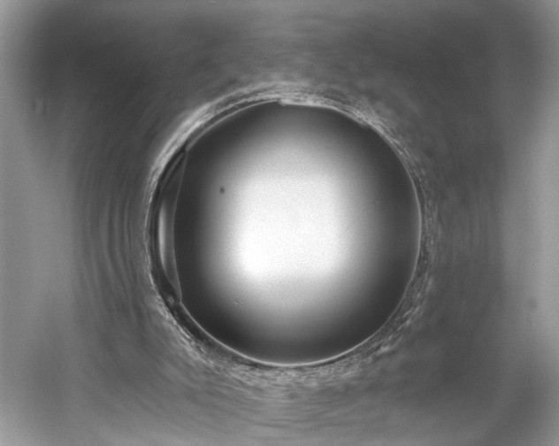 X0000059840007200510241449