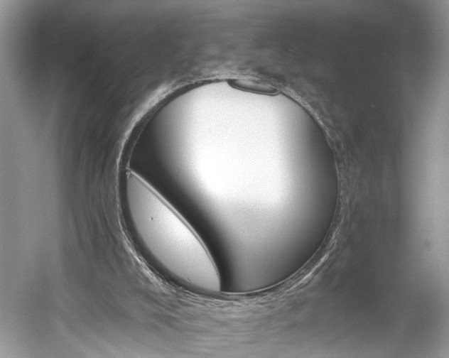 X0000059840008200510241449