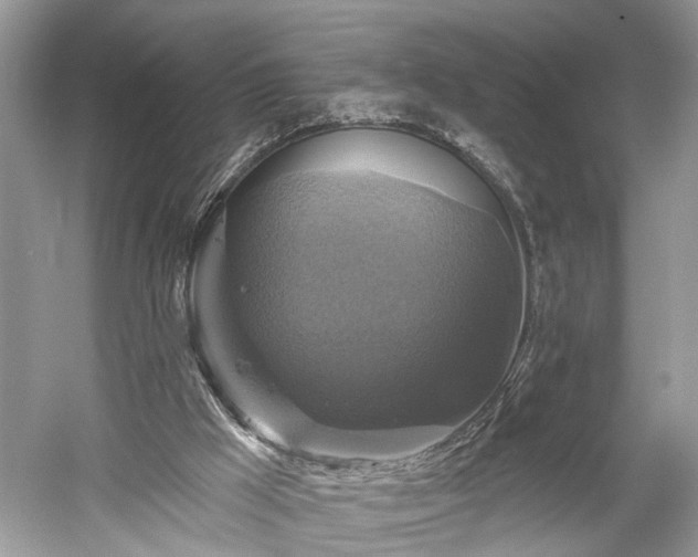 X0000059840009200510241449