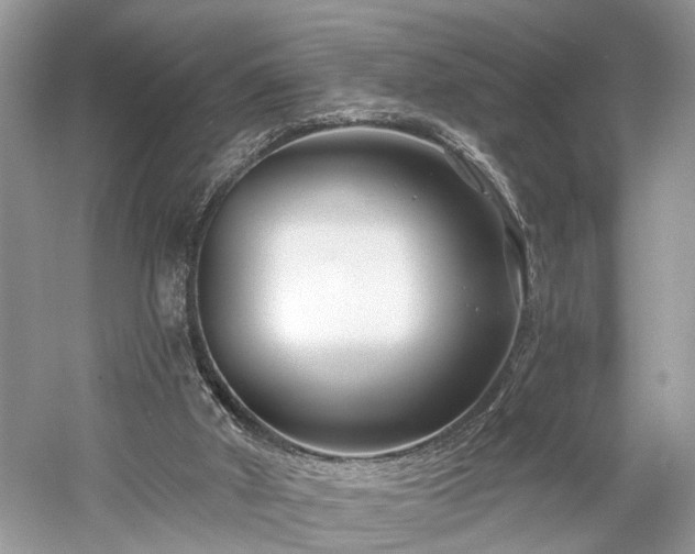 X0000059840010200510241449