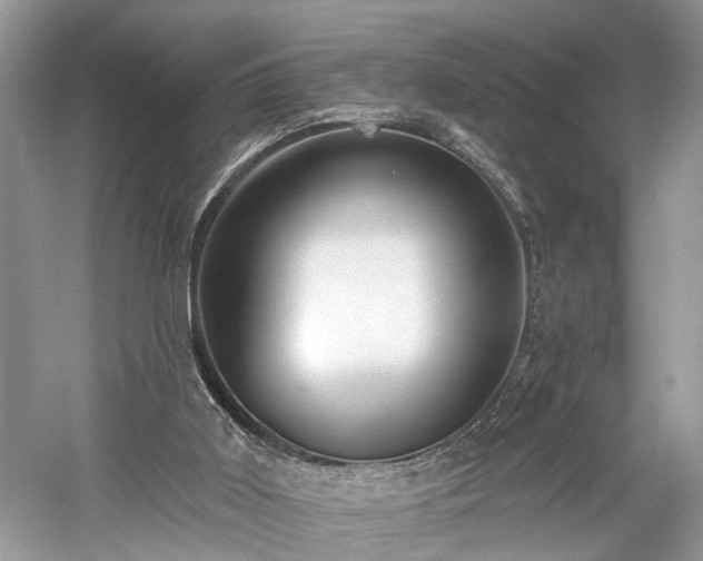 X0000059840011200510241449