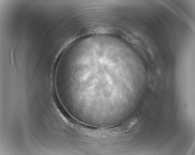 X0000059840012200510241449